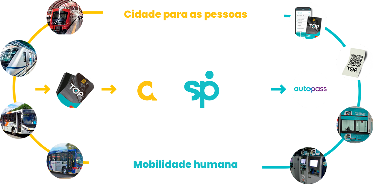 ORGANOGRAMA-ABASP